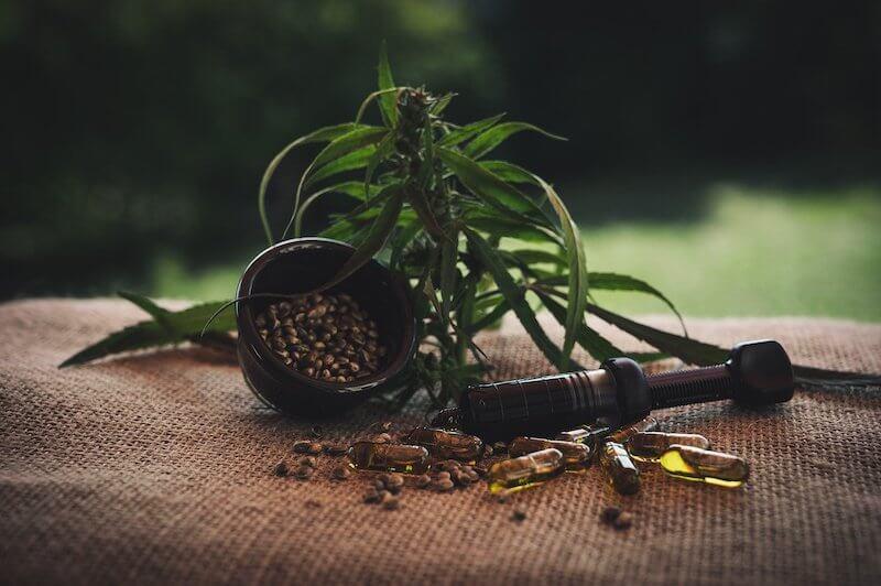 Healthy Cooking – der neue Trend von CBD beim Essen
