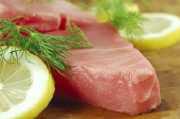 Thunfisch