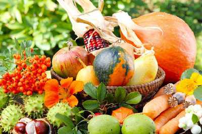 Herbstküche