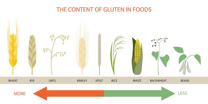 Gluten & Ballaststoffe