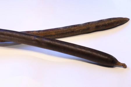 Kassia Fistula